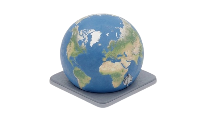 image removebg preview